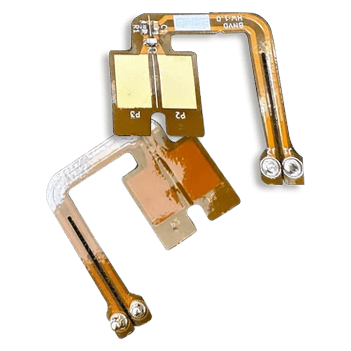 Argus 4-Pin EGAC